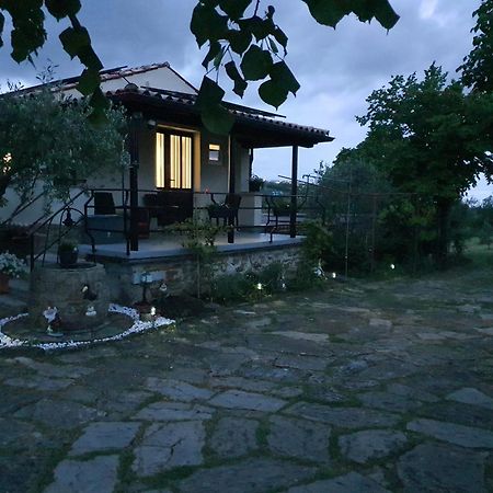 Apartma Vista Baredi Izola Dış mekan fotoğraf