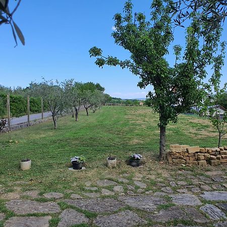 Apartma Vista Baredi Izola Dış mekan fotoğraf