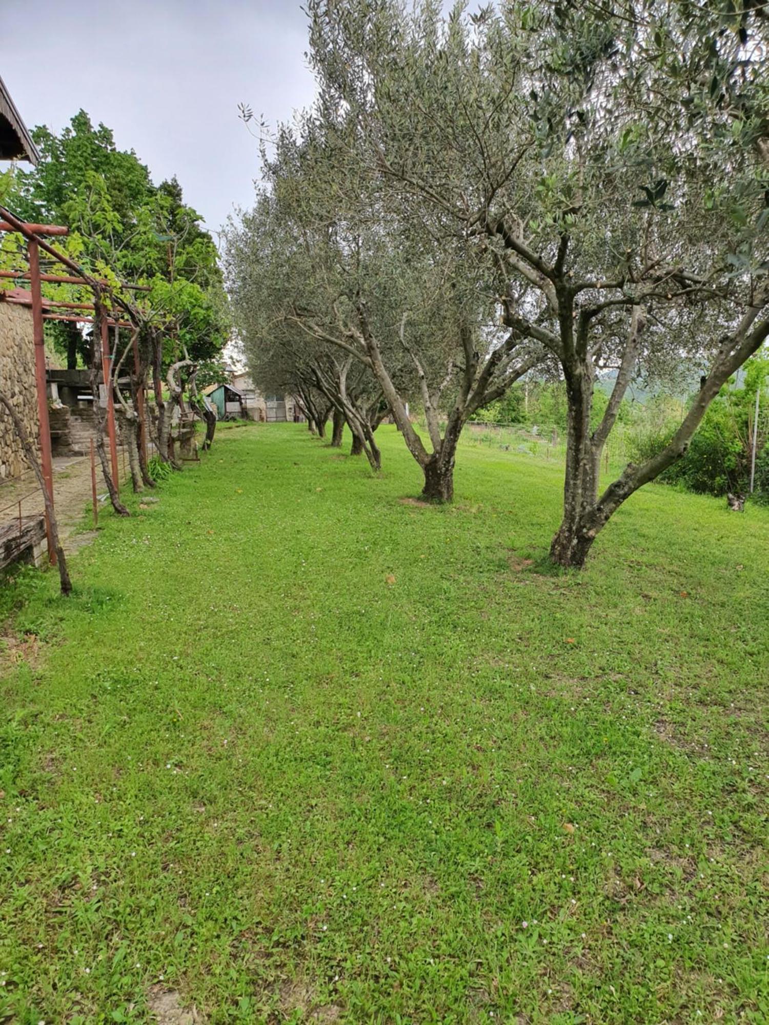 Apartma Vista Baredi Izola Dış mekan fotoğraf
