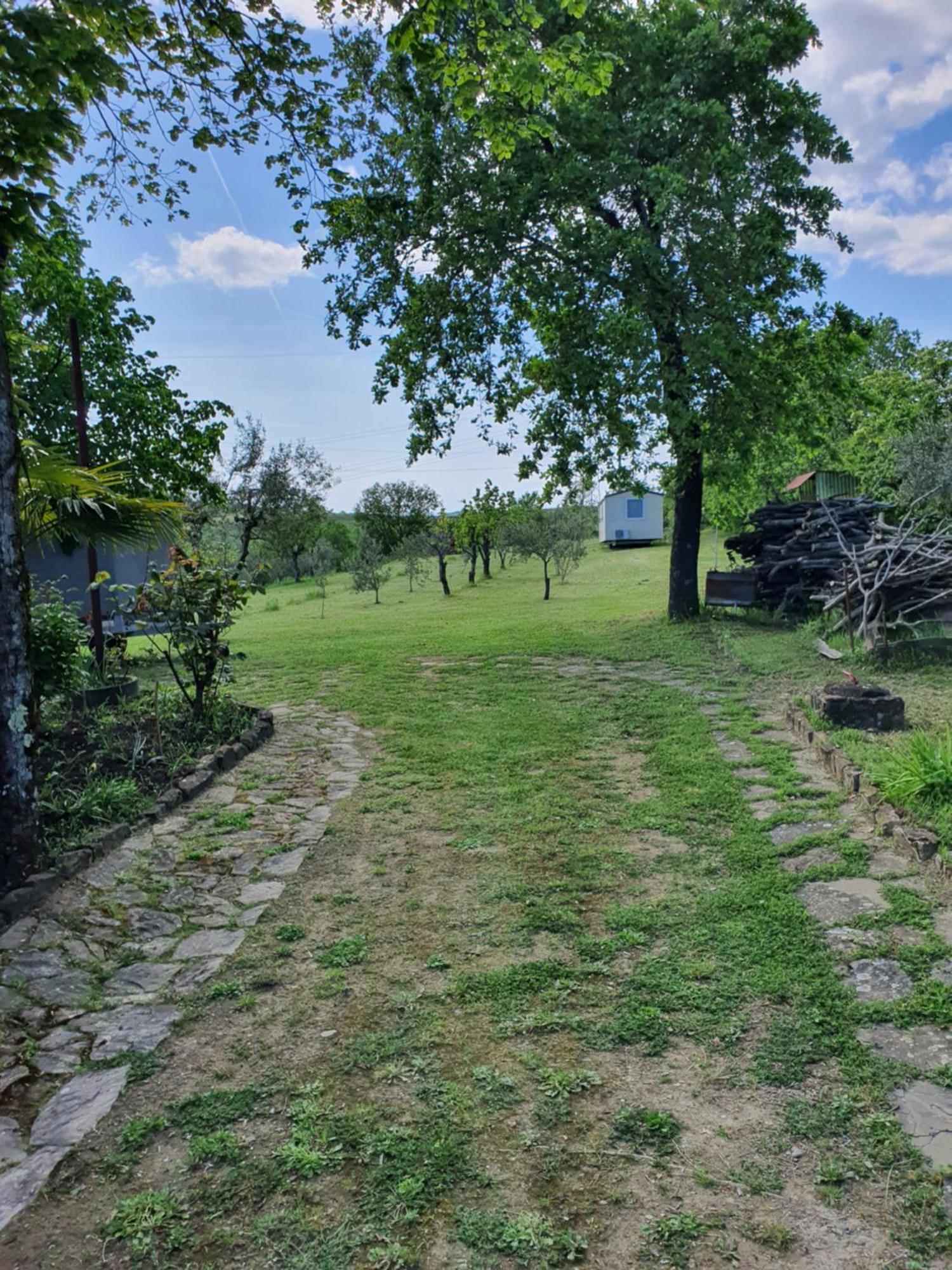 Apartma Vista Baredi Izola Dış mekan fotoğraf
