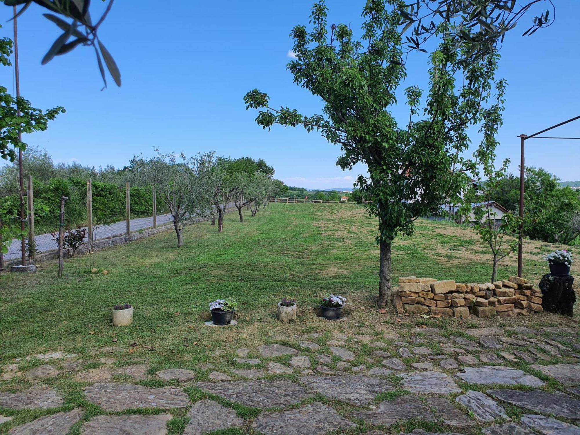 Apartma Vista Baredi Izola Dış mekan fotoğraf